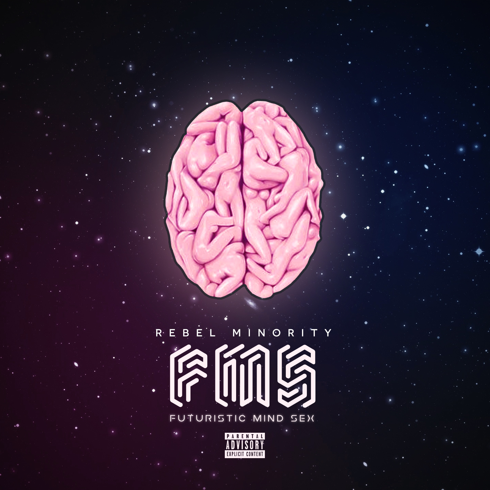 FMS3